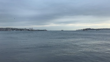 İstanbul'da sağanak hayatı olumsuz etkiledi, Şişli'de ağaçlar devrildi