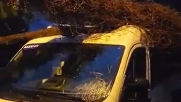 Kadıköy'de rüzgarda devrilen ağaç, öğrenci bekleyen servis minibüsüne düştü