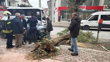 Kocaeli Gebze'de park halindeki cipin üstüne ağaç devrildi, araçta hasar oluştu