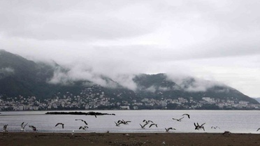 Ordu'da Boztepe, sis bulutları ve martılarla eşsiz bir manzaraya sahne oldu