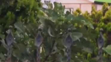 Sakarya Karasu'da çatı oluğunu temizleyen Vahit Abdülhakim (33) akıma kapıldı ve öldü