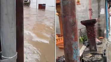 Tayland'da kabus görüntüleri: Sel suları binlerce hamam böceğini sokağa döktü