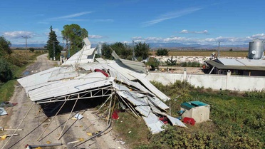 Adana İmamoğlu'nda süper hücre 20 bin civcivi telef etti, muz serası hasar aldı