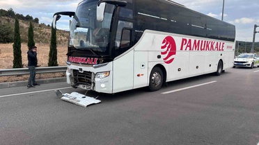 Çanakkale Ayvacık'ta otobüsün çarptığı otomobilde 2 kişi öldü, 3 köpek telef oldu