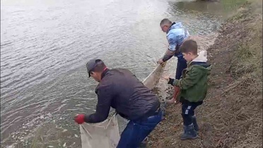 Edirne Meriç'teki Küplü'de sulama kanalında mahsur balıklar göletlere bırakıldı