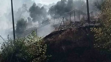 Milas-Söke Karayolu'nda otluk yangın yayılmadan söndürüldü, soruşturma başlatıldı