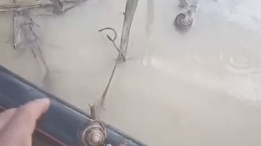 Sakarya Kaynarca'da sulukları sele kapılan çiftçi, mahsur kalan iki salyangozu kurtardı