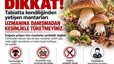 Yağışlar artınca Sinop İl Tarım ve Orman Müdürlüğü ölümcül zehirlenme uyarısı yaptı