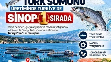 Sinop, Türk somonu üretiminde ilk sırada; denetimlerle kalite korunması hedefleniyor