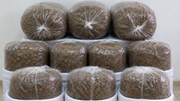 Antalya'da kaçak tütün operasyonunda 400 kilogram kıyılmış tütün ele geçirildi