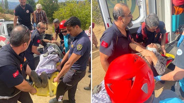 73 yaşındaki kadın ağaçtan düştü