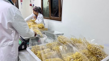 İl Tarım Müdürü Düzgün ve Manyas Kaymakamı Bayram, Kulak'taki makarna işletmesini gezdi