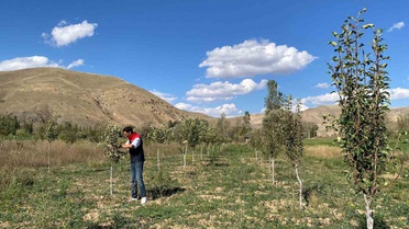 DOKAP destekli projede Bayburt'ta kapalı meyve bahçeleri kontrol ediliyor