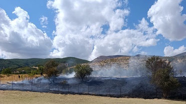 Bitlis Hizan'da örtü yangını rüzgar nedeniyle sürüyor, ekipler müdahale ediyor