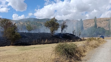Bitlis Hizan'da otluk alanda çıkan yangın itfaiyece söndürüldü, 3 dönüm zarar gördü