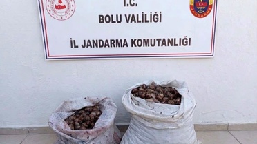 Bolu Çobankaya'da izinsiz 60 kilogram salyangoz toplayan 2 kişi suçüstü yakalandı