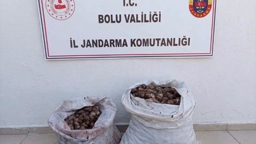Bolu'da jandarma kontrolünde izinsiz salyangoz toplayan 2 kişiye idari işlem yapıldı