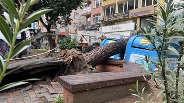 Kocaeli İzmit'te devrilen ağaç sokağın bölümünü kapatınca belediye harekete geçti