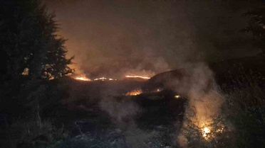 Adıyaman'da anız yangını söndürüldü, çok sayıda ağaç zarar gördü
