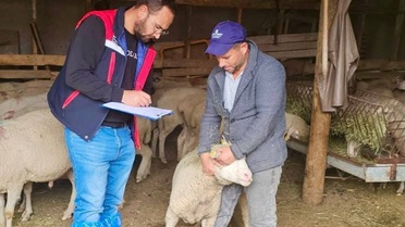 Afyonkarahisar Bayat'ta Sürdürülebilir Koyun Projesi'ndeki işletmeler denetlendi