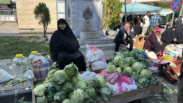 Alucra kelemi hasadı başladı, coğrafi işaret için çalışmalar sürüyor