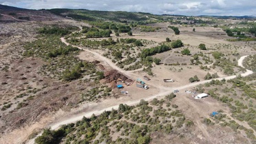 Kastamonu Araç'ta 2 bin 736 hektar alanda temizlik sürüyor, kökler enerjiye dönüşüyor