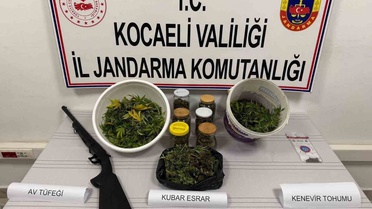 Kocaeli Karamürsel'de jandarma operasyonunda 3 kilo 500 gram esrar ele geçirildi