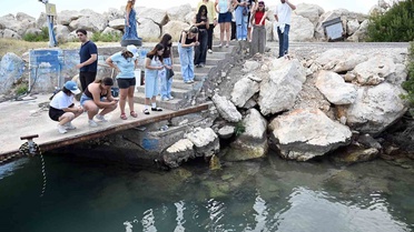 ODTÜ Deniz Bilimleri Enstitüsü'nde MINKA ile deniz canlıları kaydedildi