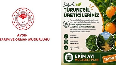 Aydın İl Tarım ve Orman Müdürlüğü, turunçgil üreticilerine Ekim takvimini hatırlattı