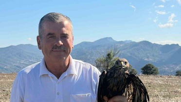 Bolu Göynük'te asfalta bulaşan şahini muhtar Metin Keskin kurtarıp doğaya bıraktı