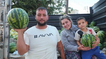 Burhaniye'de güz karpuzunun fiyatı üreticiyi sevindirdi, 3 tanesi 100 lira