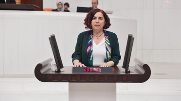 DEM Partili Çelenk, Cansu Badur'un Afganistan'da tutulduğu iddiasını Meclis'e taşıdı