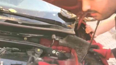 Diyarbakır'da aracın motoruna sıkışan 3 yavru kedi itfaiyece kurtarıldı