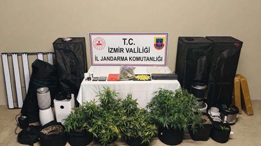 İzmir Karşıyaka'da jandarma 7 kök skunk ele geçirdi, 1 şüpheli gözaltında