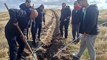 Kırıkkale Keskin'de 150 dönümlük merada 25 bin tuz çalısı fidanı toprakla buluştu