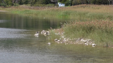 Sapanca Gölü'nde su seviyesi geçen yılın aynı dönemine göre 75 santimetre arttı