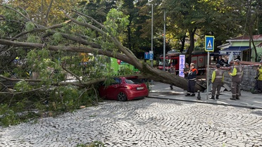Şişli'de devrilen ağaç park halindeki otomobile zarar verdi, cadde trafiğe kapandı