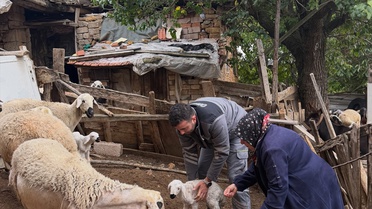 Yozgat'ta Kale ve Recepli köylerindeki üreticilere büyükbaş ve küçükbaş desteği verildi