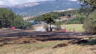Bolu Mudurnu'da anız yangını ormana sıçradı, köylüler tankerle kontrol altına aldı