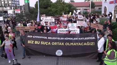 İzmir’de yaşam hakkı savunuculardan 'yeni yasa' çağrısı: “Toplayan değil koruyan bir yasa istiyoruz”