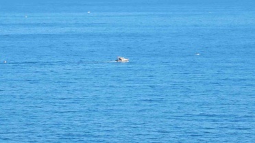 Zonguldak Kozlu'da balık tutmaya giden 62 yaşındaki Erdin Yılmaz için arama sürüyor