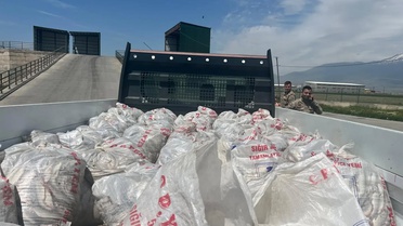 Van'dan Doğubayazıt'a kaçak getirilen 2 ton inci kefaline jandarma el koydu