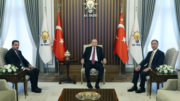 Erdoğan, UID heyetiyle yurt dışı vatandaşları görüştü