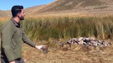 Iğdır Tuzluca'da bakımı tamamlanan kerkenez, 4 Ekim 2026'da doğaya bırakıldı