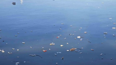 Zonguldak Limanı'nda deniz ve kıyıda biriken atıklar kirliliği gözler önüne serdi
