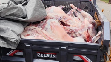 Batman'da kaçak kesimde 52 bin 801 lira ceza uygulandı, 14 hayvanın eti imha edildi