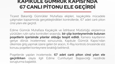 Kapıkule'den gelen aracın X-Ray öncesi bıraktığı poşette 67 canlı piton bulundu