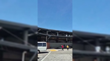 Panama'da 7,7'lik deprem binaları yıktı, 4,6 milyon kişi sarsıntıyı hissetti