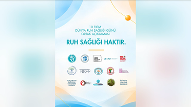 Psikiyatri Derneği, TTB, 'müstehcenlik' soruşturmasındaki erişim engeline karşı çıktı