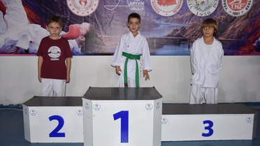 Yusufeli'deki karate yıldızlar ligi 3. etabında 375 sporcu madalya için yarıştı